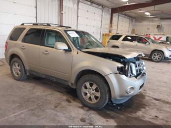  Salvage Ford Escape
