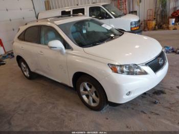  Salvage Lexus RX