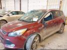 Ford Escape Titanium Image 11