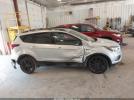 Ford Escape Titanium Image 7
