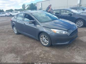  Salvage Ford Focus