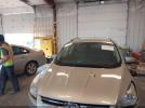 Ford Escape Titanium Image 16