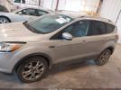 Ford Escape Titanium Image 9