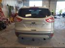 Ford Escape Titanium Image 10