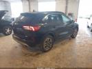 Ford Escape Sel Image 9