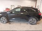 Ford Escape Sel Image 5