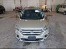 Ford Escape Titanium Image 4