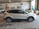 Ford Escape Titanium Image 9