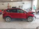 Ford Escape Sel Image 11