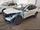 Ford Escape Sel Image 5