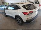 Ford Escape Sel Image 8