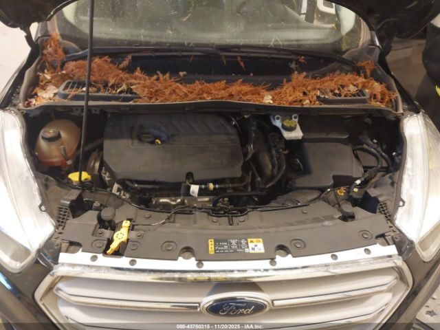 Ford Escape Se Image 6