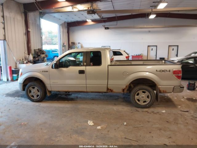 Ford F-150 Xlt Image 14