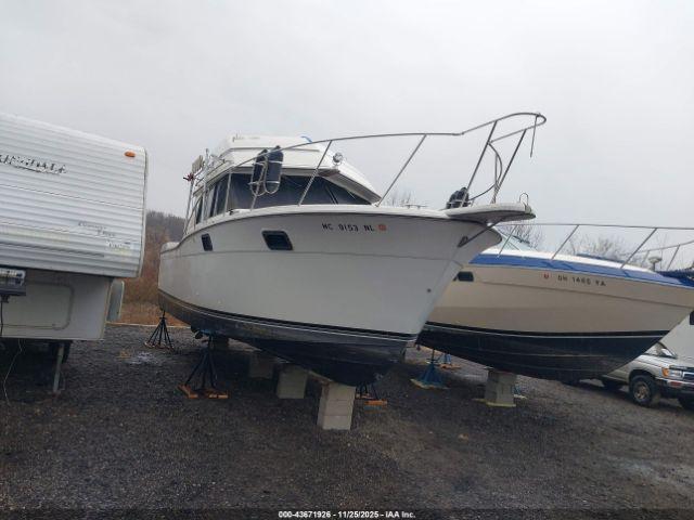  Salvage Carver Other