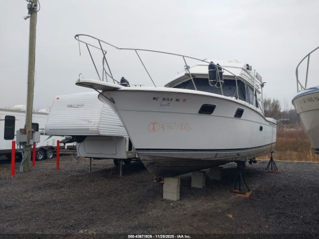 Carver Other Image 6