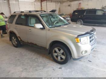  Salvage Ford Escape