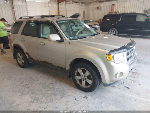  Salvage Ford Escape