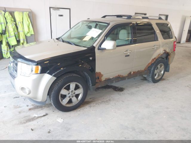 Ford Escape Limited Image 6