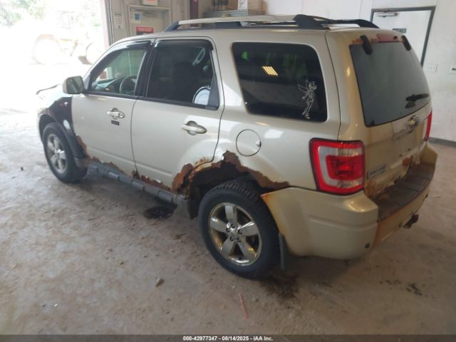 Ford Escape Limited Image 12