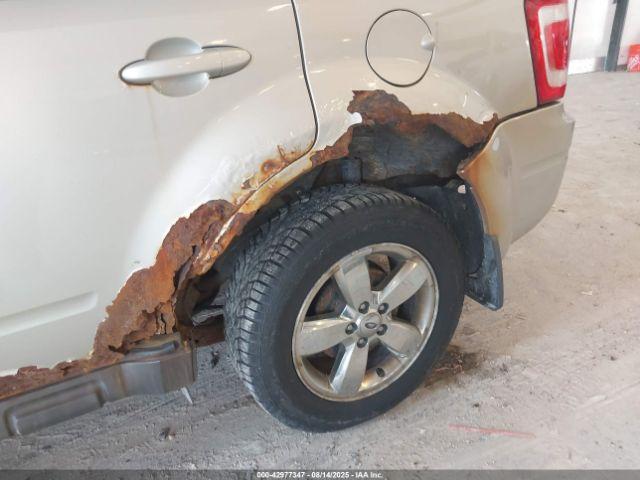 Ford Escape Limited Image 10