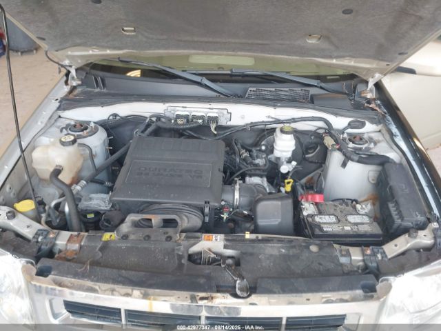 Ford Escape Limited Image 7