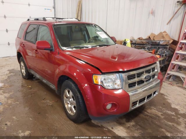 Ford Escape Limited Image 1