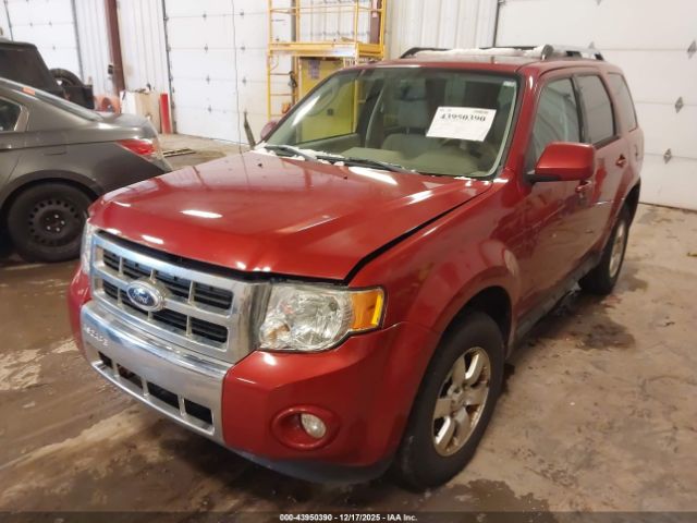 Ford Escape Limited Image 3