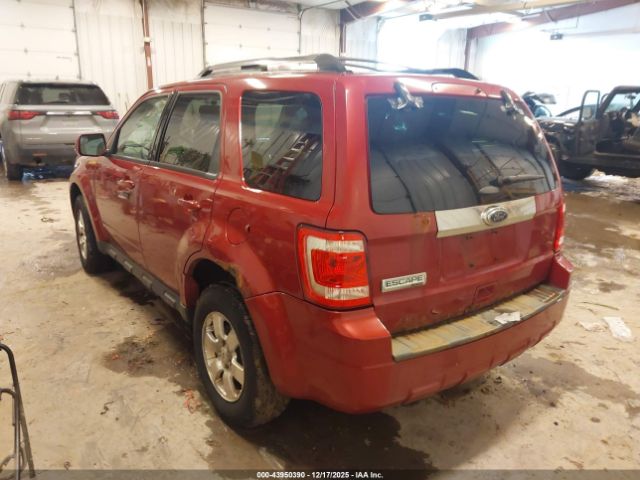 Ford Escape Limited Image 8