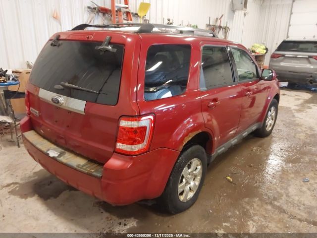 Ford Escape Limited Image 10