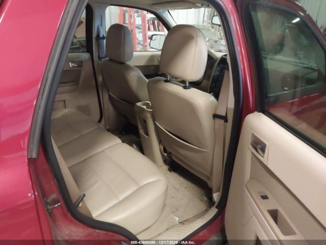 Ford Escape Limited Image 6