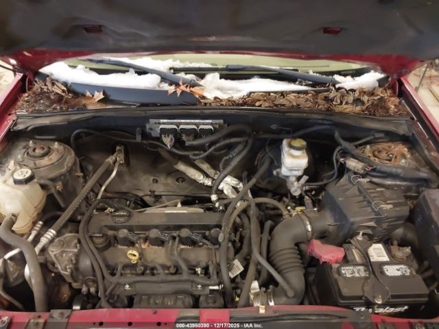 Ford Escape Limited Image 4