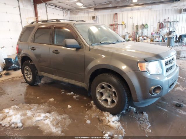 Ford Escape Xlt Image 1