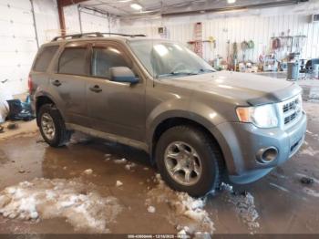  Salvage Ford Escape