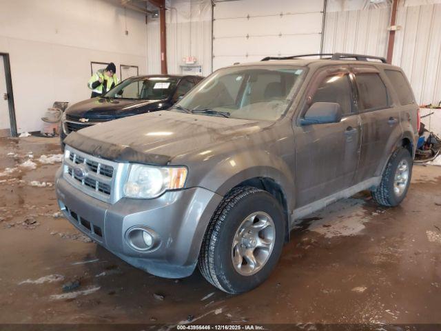 Ford Escape Xlt Image 4