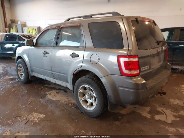 Ford Escape Xlt Image 5