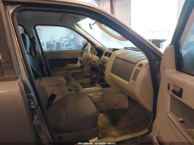 Ford Escape Xlt Image 3