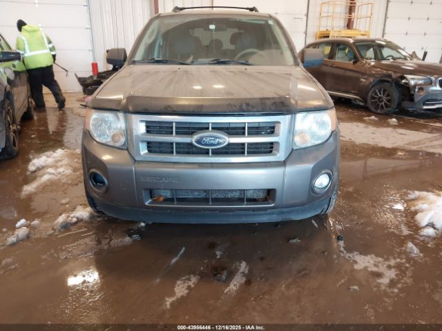 Ford Escape Xlt Image 10