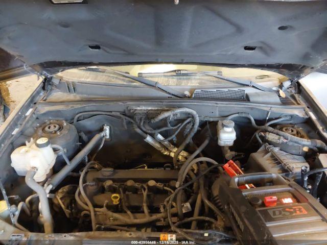 Ford Escape Xlt Image 7