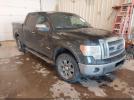 Ford F-150 Lariat Image 1