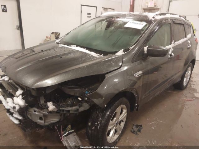 Ford Escape Se Image 7