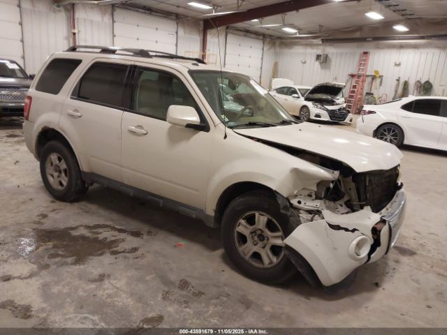 Ford Escape Limited Image 1