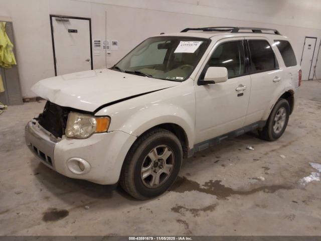 Ford Escape Limited Image 2