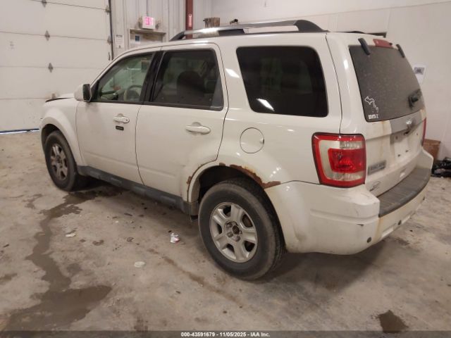 Ford Escape Limited Image 4