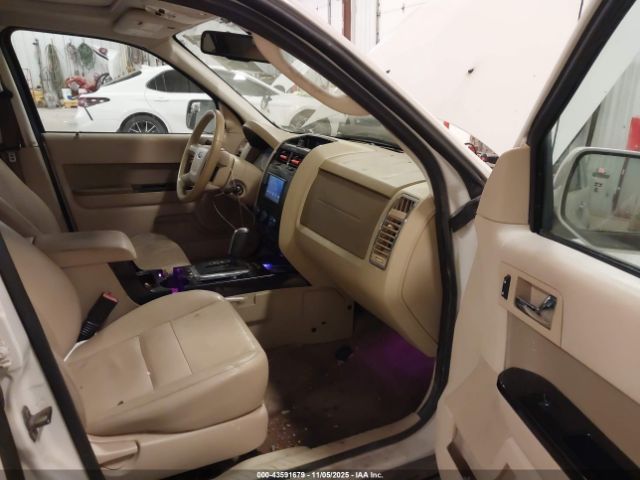 Ford Escape Limited Image 3