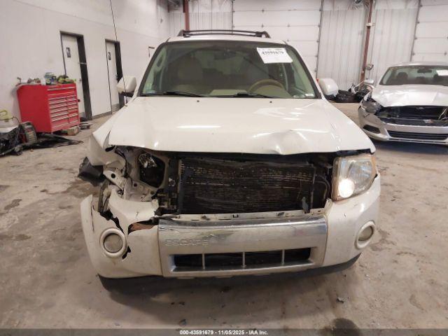 Ford Escape Limited Image 5