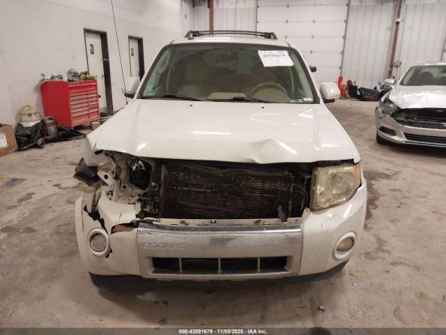 Ford Escape Limited Image 13