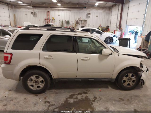 Ford Escape Limited Image 7