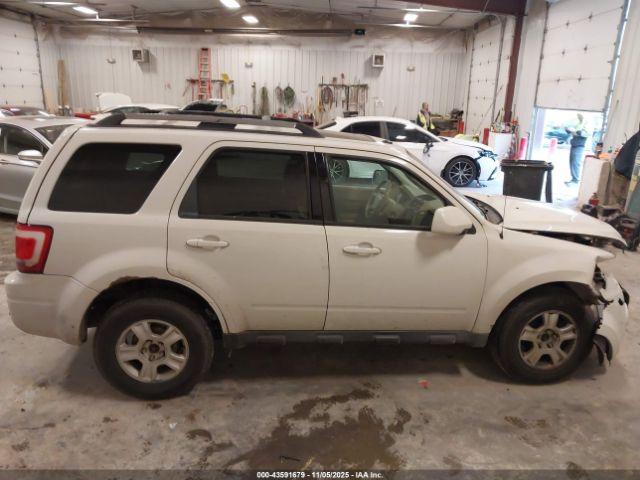 Ford Escape Limited Image 7