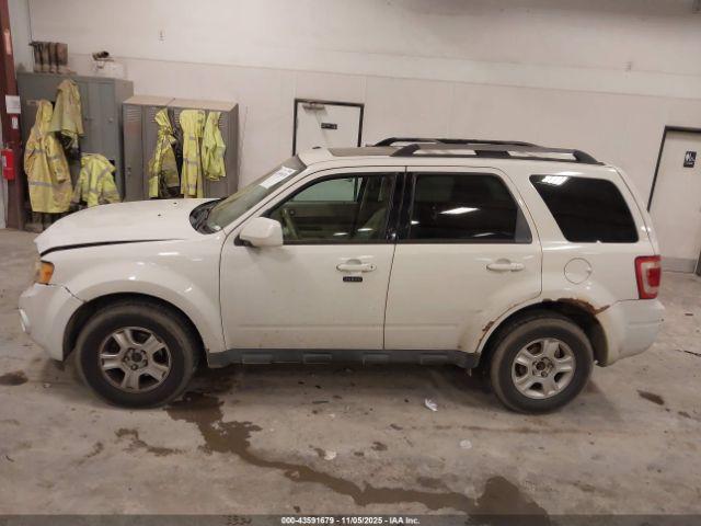 Ford Escape Limited Image 12