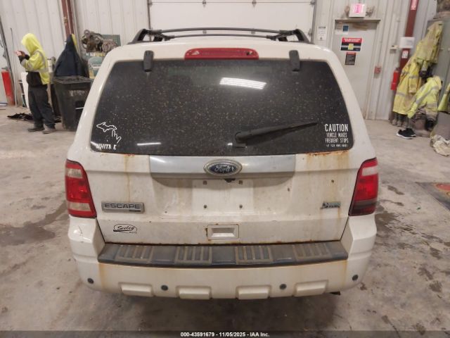 Ford Escape Limited Image 10